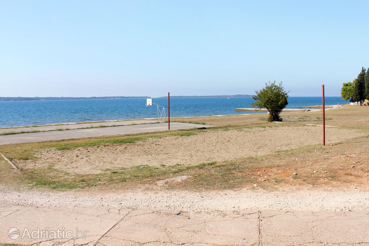 La spiaggia più vicina - Casa con piscina per famiglia Butcovici - Butkovići, Istria Centrale - Središnja Istra