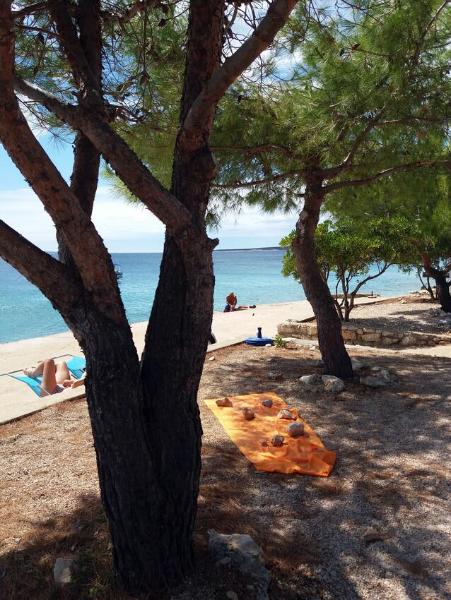 Najbliža plaža - Apartmani uz more Mandre, Pag