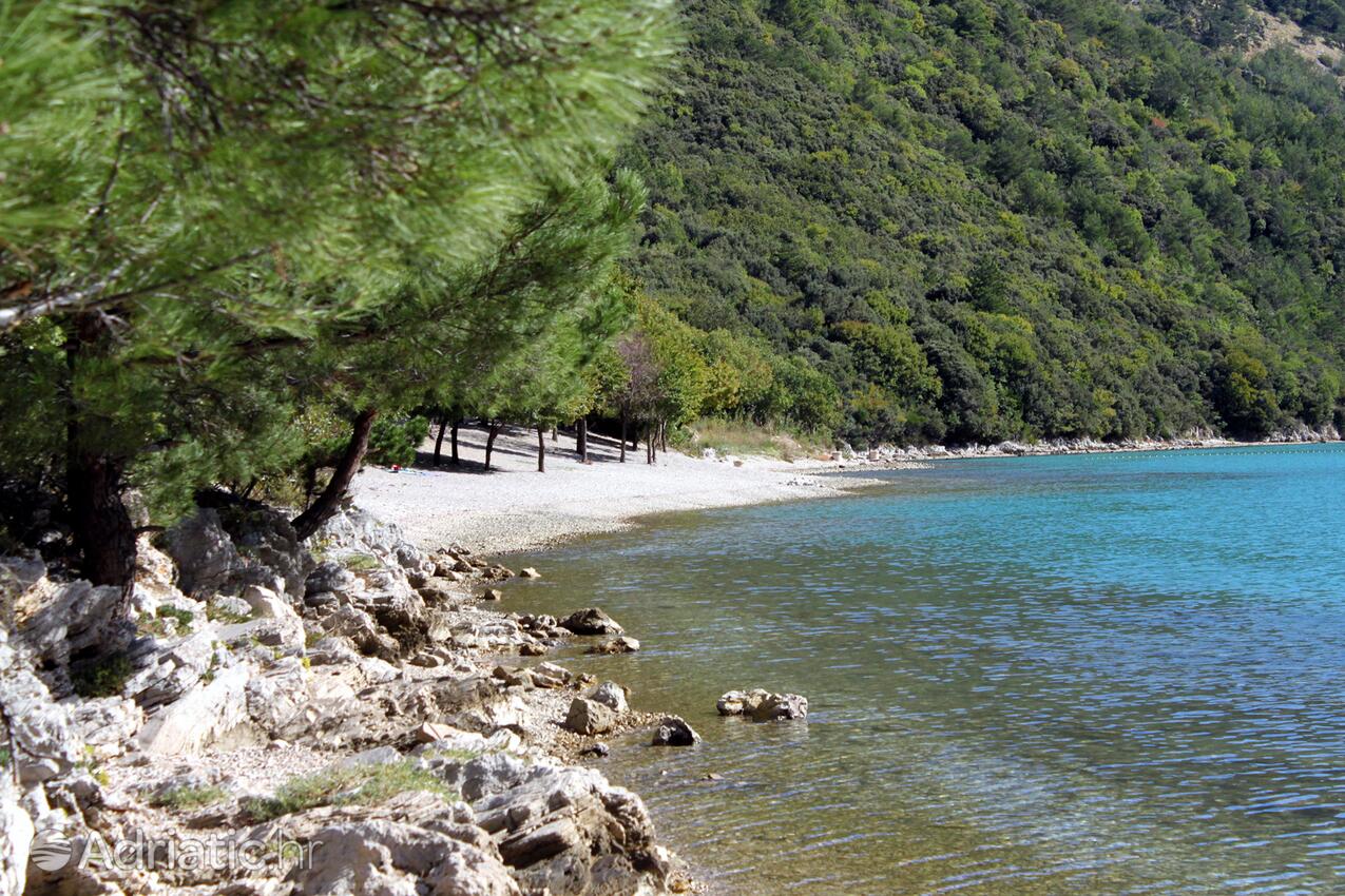 Nermeste strand - Sommerhus med parkering Susnjevica, Sredisnja Istra