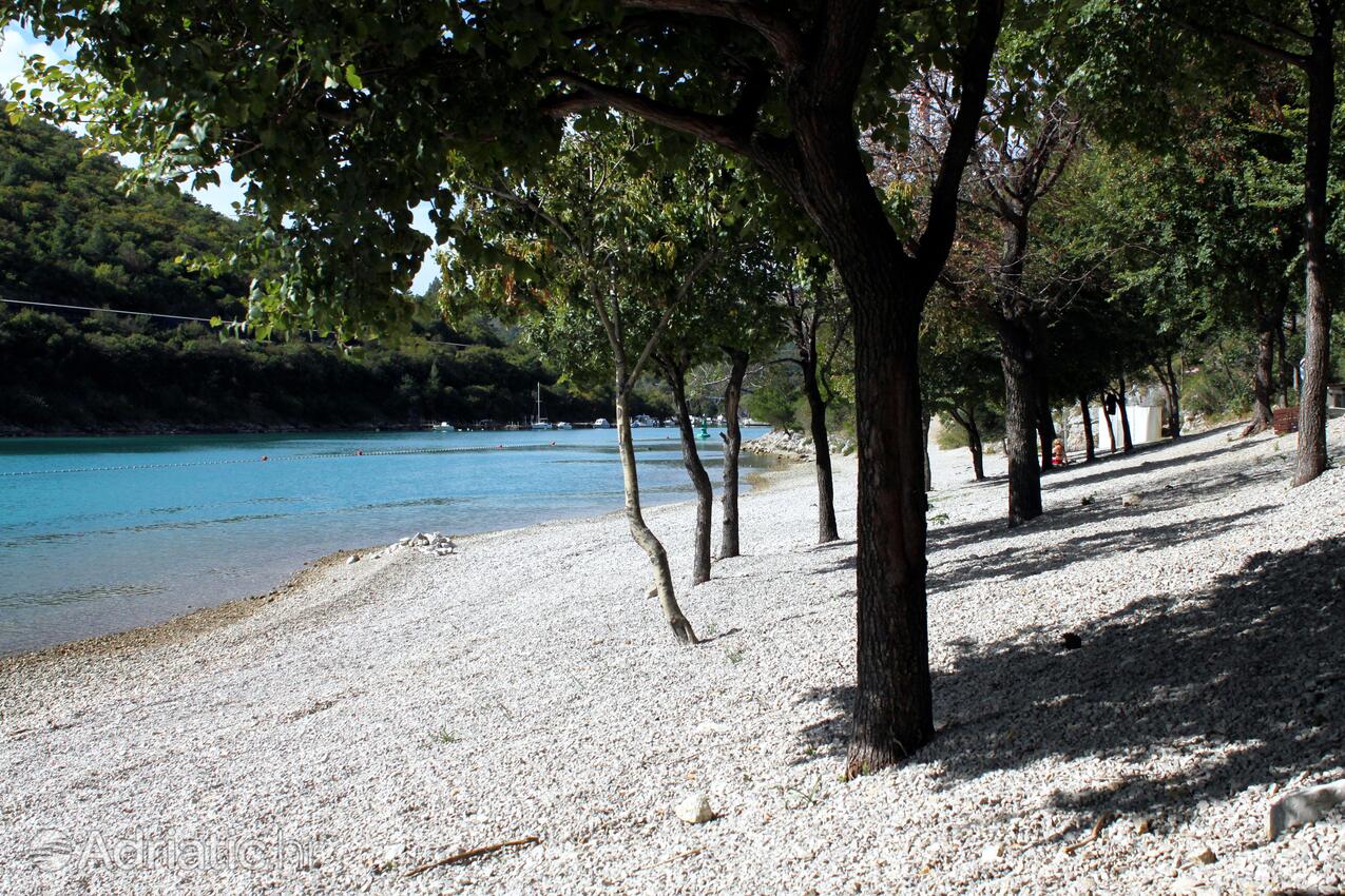 Nermeste strand - Sommerhus med parkering Susnjevica, Sredisnja Istra