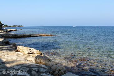 Apartmaji s parkingom Dajla, Novigrad - 6935