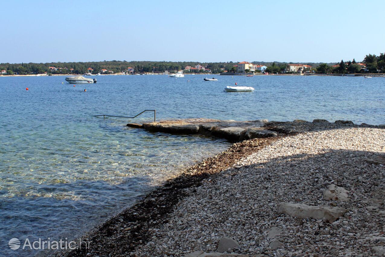 Nächster Strand - Ferienwohnungen am Meer Dajla, Novigrad