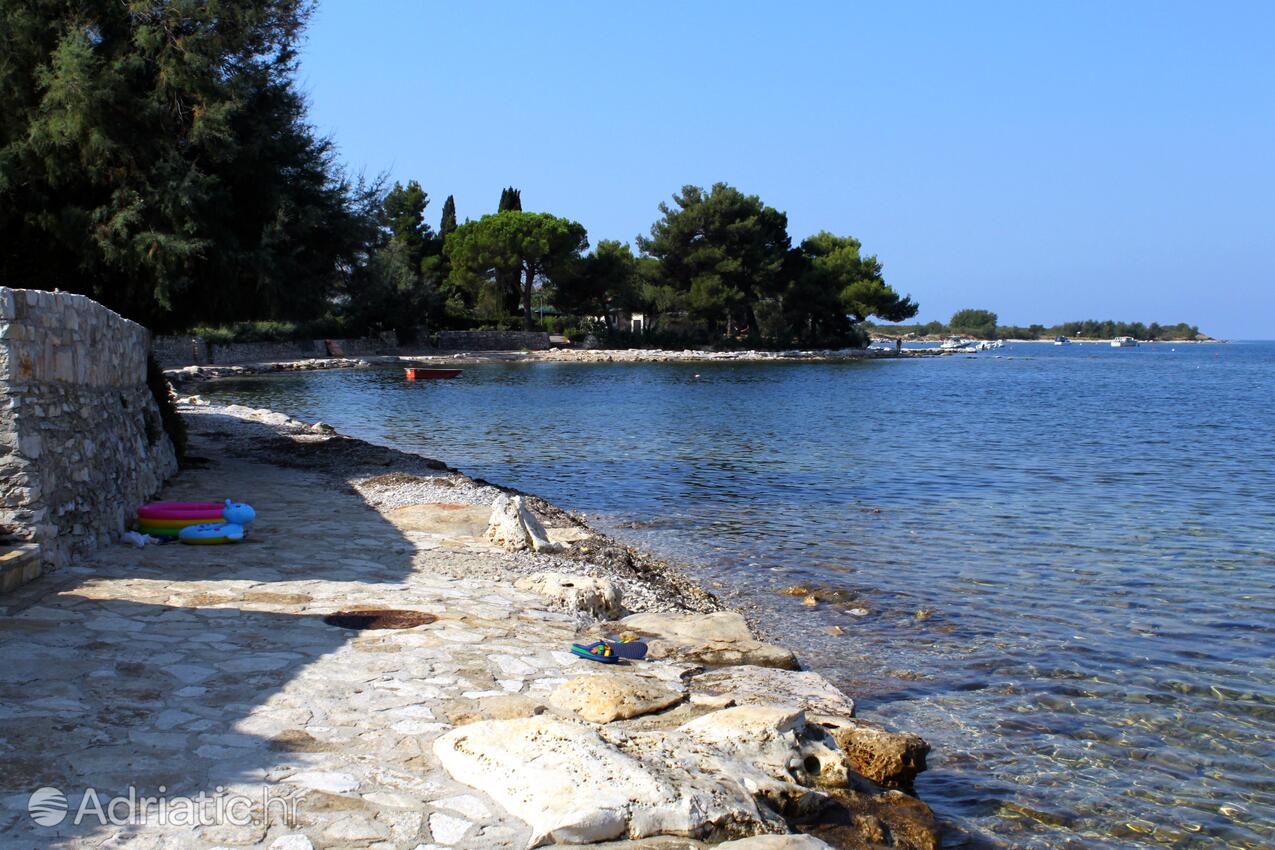 Nächster Strand - Ferienwohnungen am Meer Dajla, Novigrad