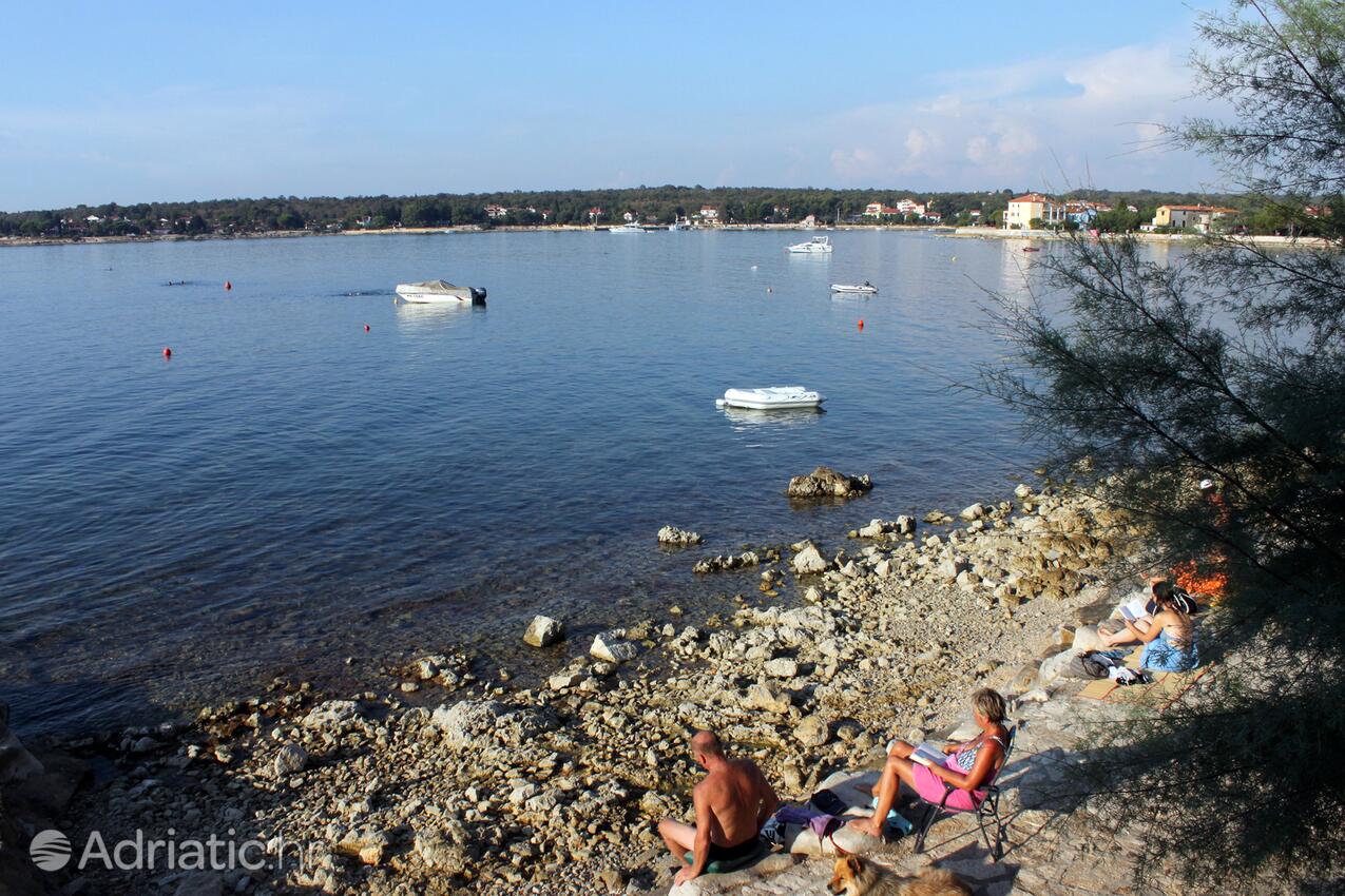 Nächster Strand - Ferienwohnungen am Meer Dajla, Novigrad