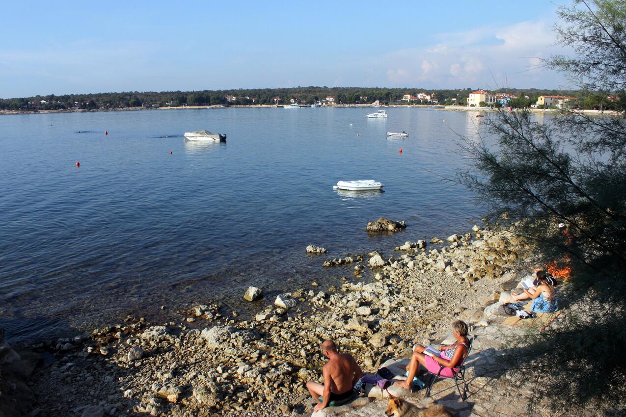 La spiaggia più vicina - Appartamenti con parcheggio Daila - Dajla, Novigrad