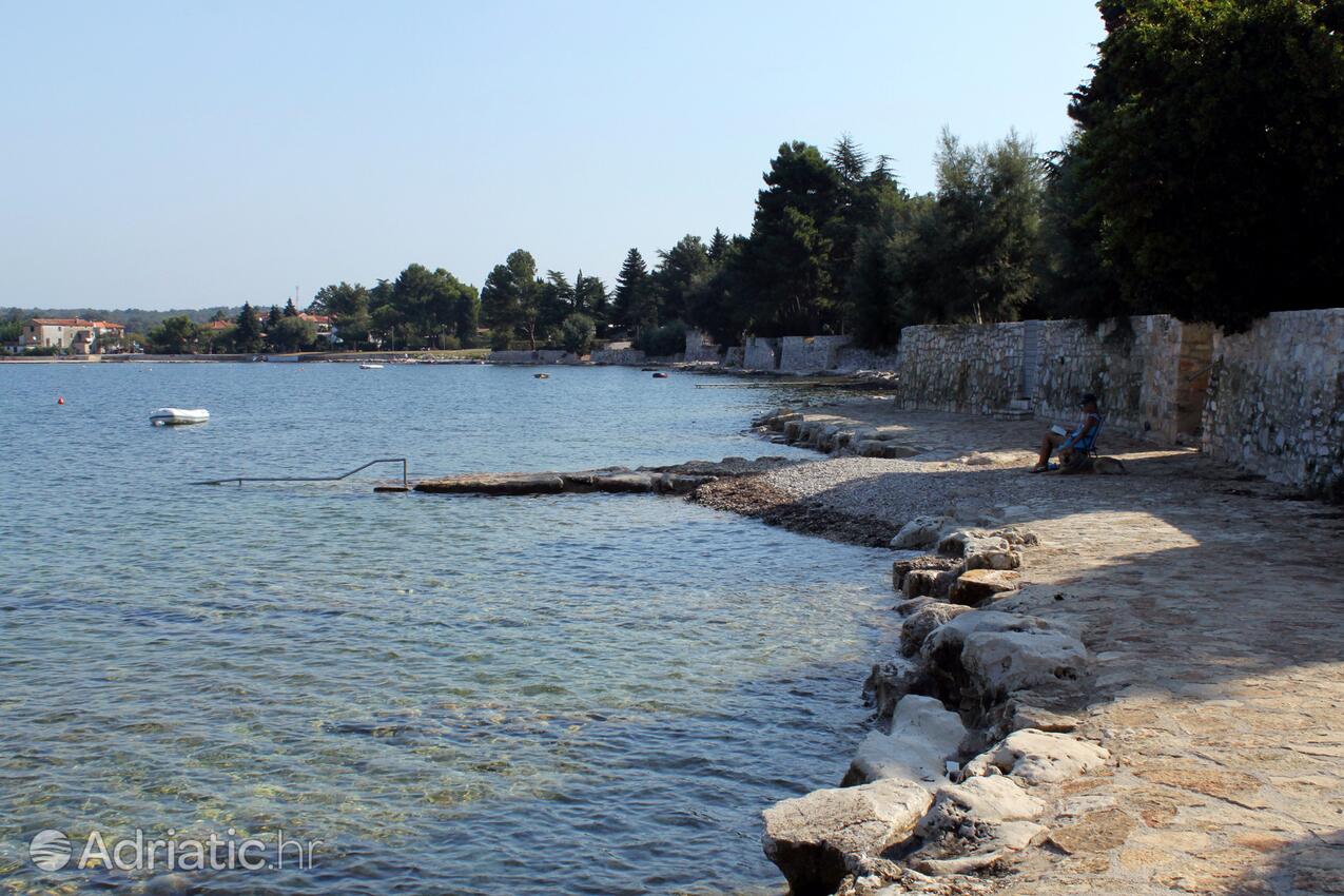 Nächster Strand - Ferienwohnungen am Meer Dajla, Novigrad