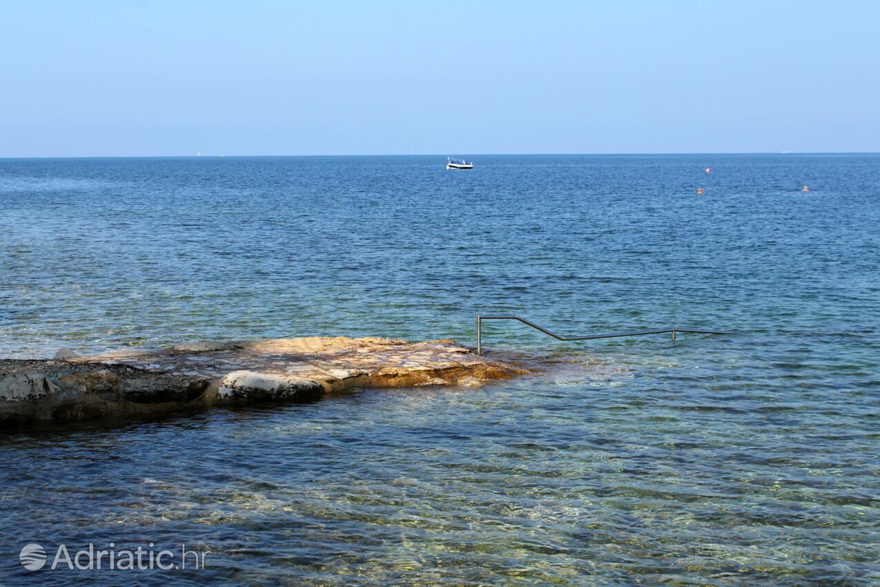 Nächster Strand - Ferienwohnungen am Meer Dajla, Novigrad