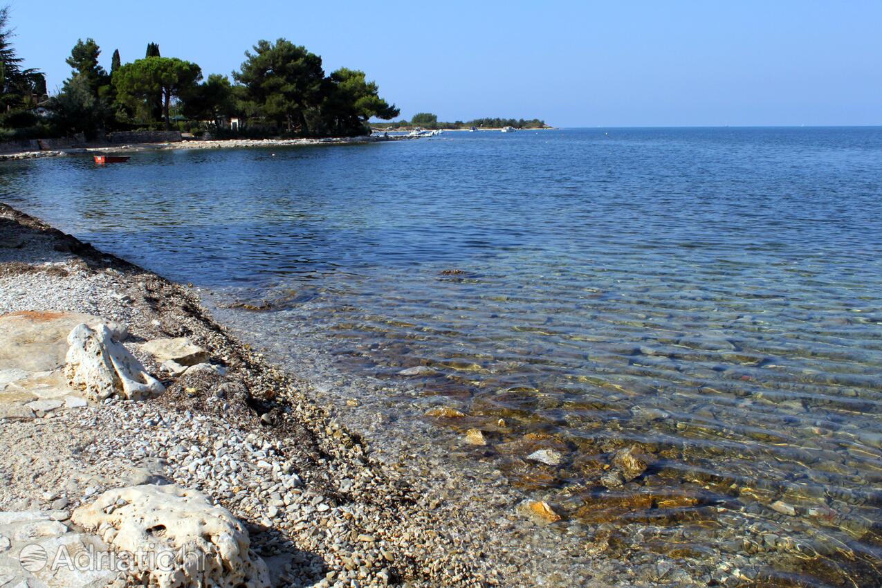 Nächster Strand - Ferienwohnungen am Meer Dajla, Novigrad