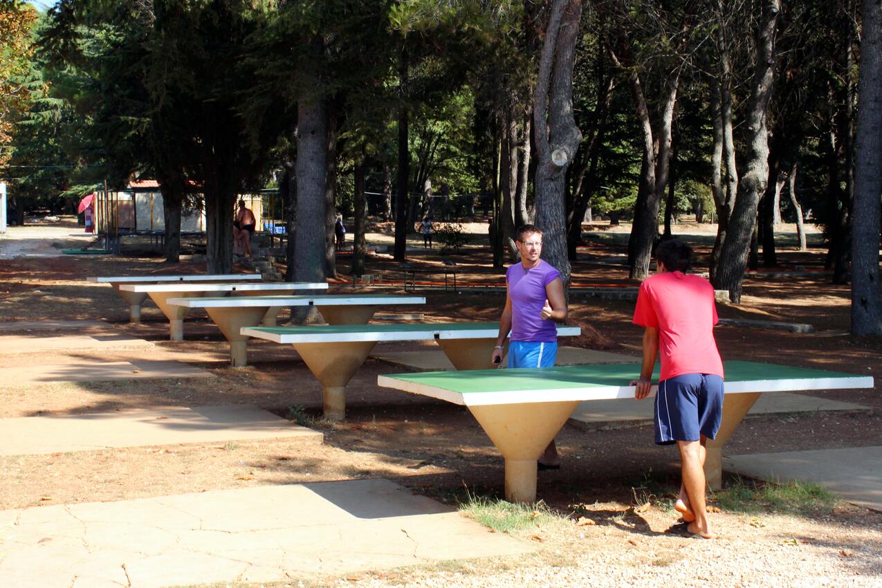 Nächster Strand - Ferienwohnungen und Zimmer mit Parklplatz Porec