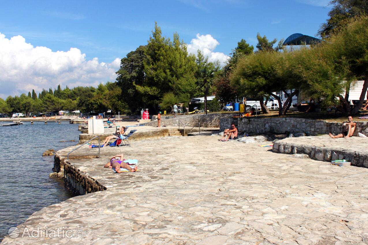 Adriatic.hr