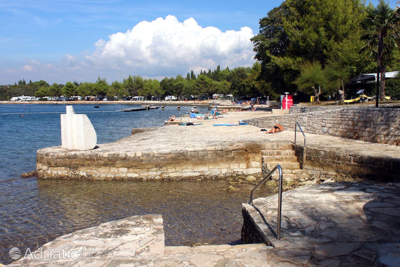 Adriatic.hr