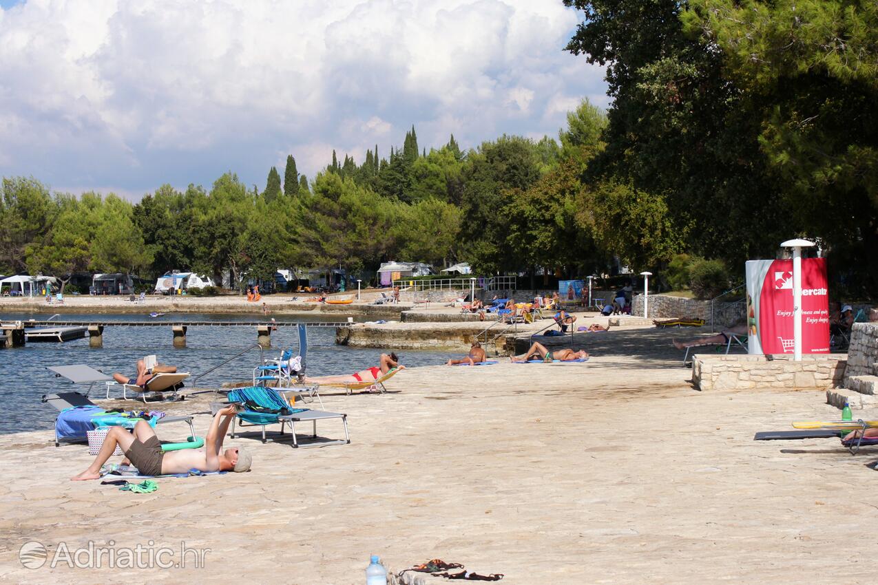 Adriatic.hr