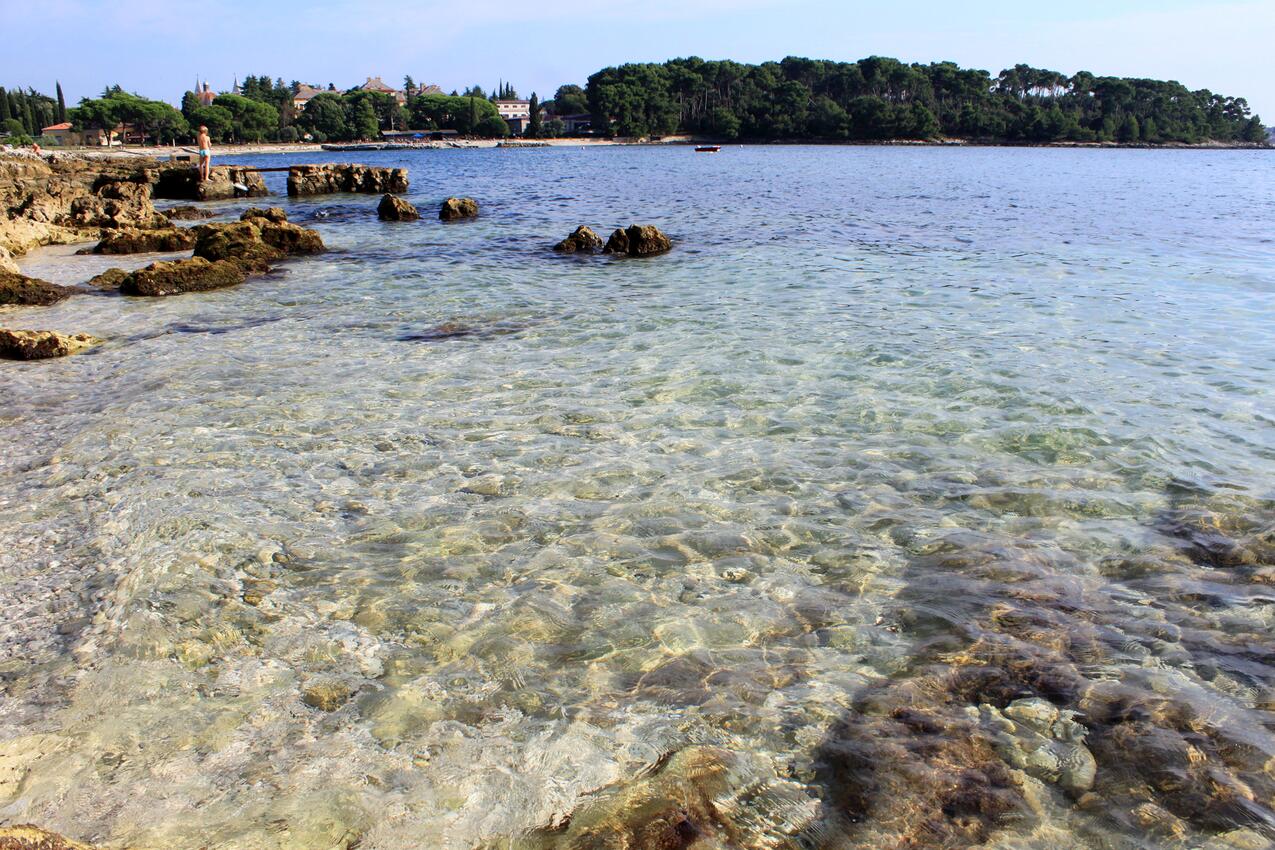 La spiaggia più vicina - Appartamenti con parcheggio Rovigno - Rovinj