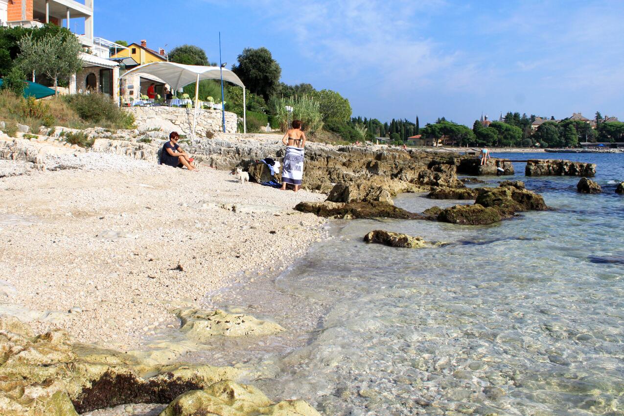 La spiaggia più vicina - Appartamenti con parcheggio Rovigno - Rovinj
