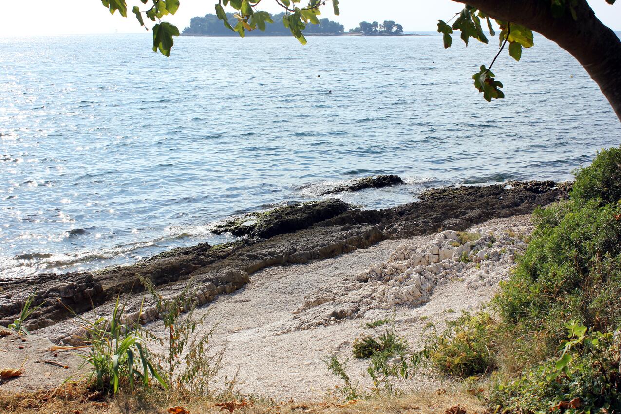 La spiaggia più vicina - Appartamenti con parcheggio Rovigno - Rovinj