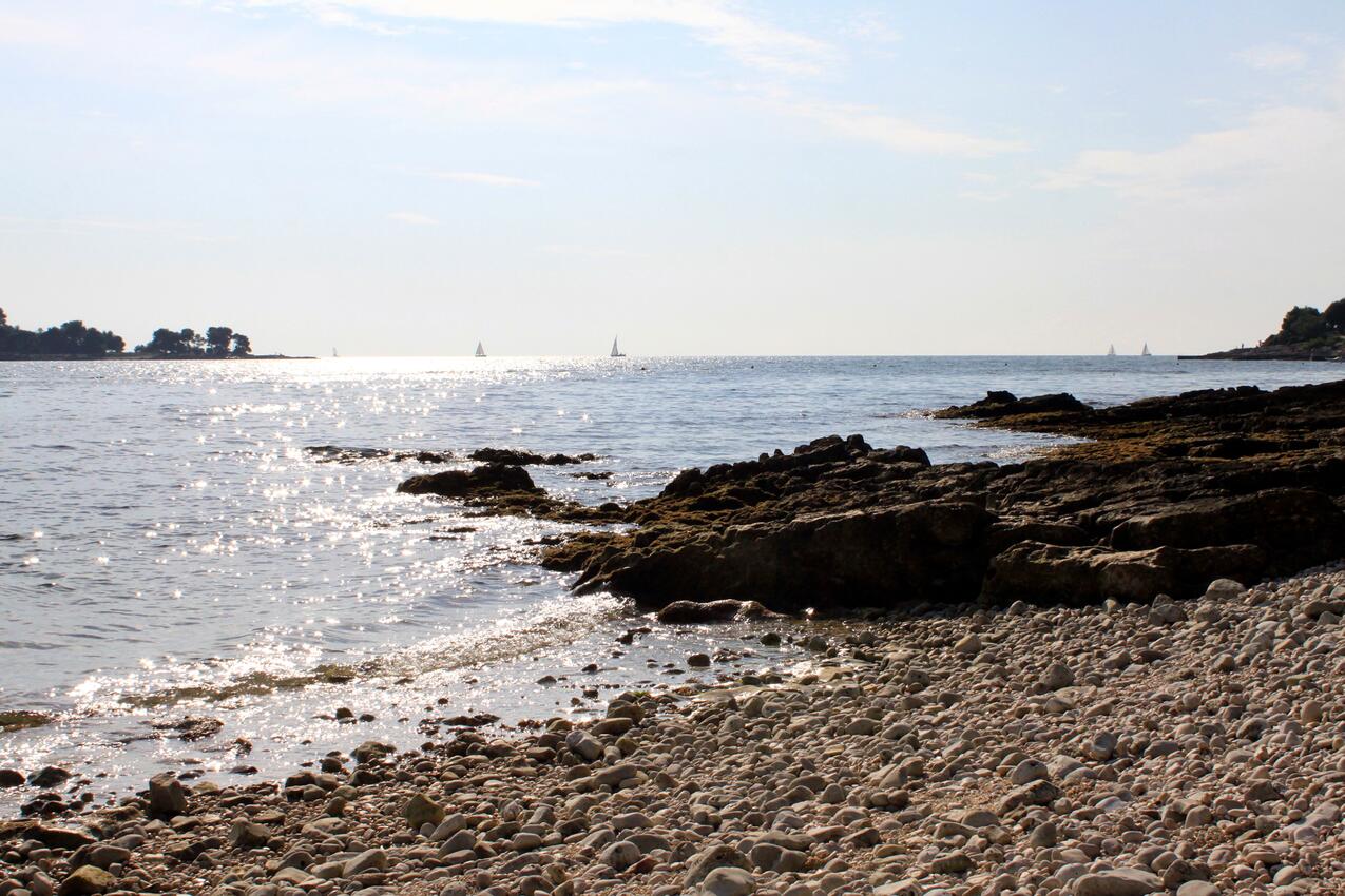 La spiaggia più vicina - Appartamenti con parcheggio Rovigno - Rovinj