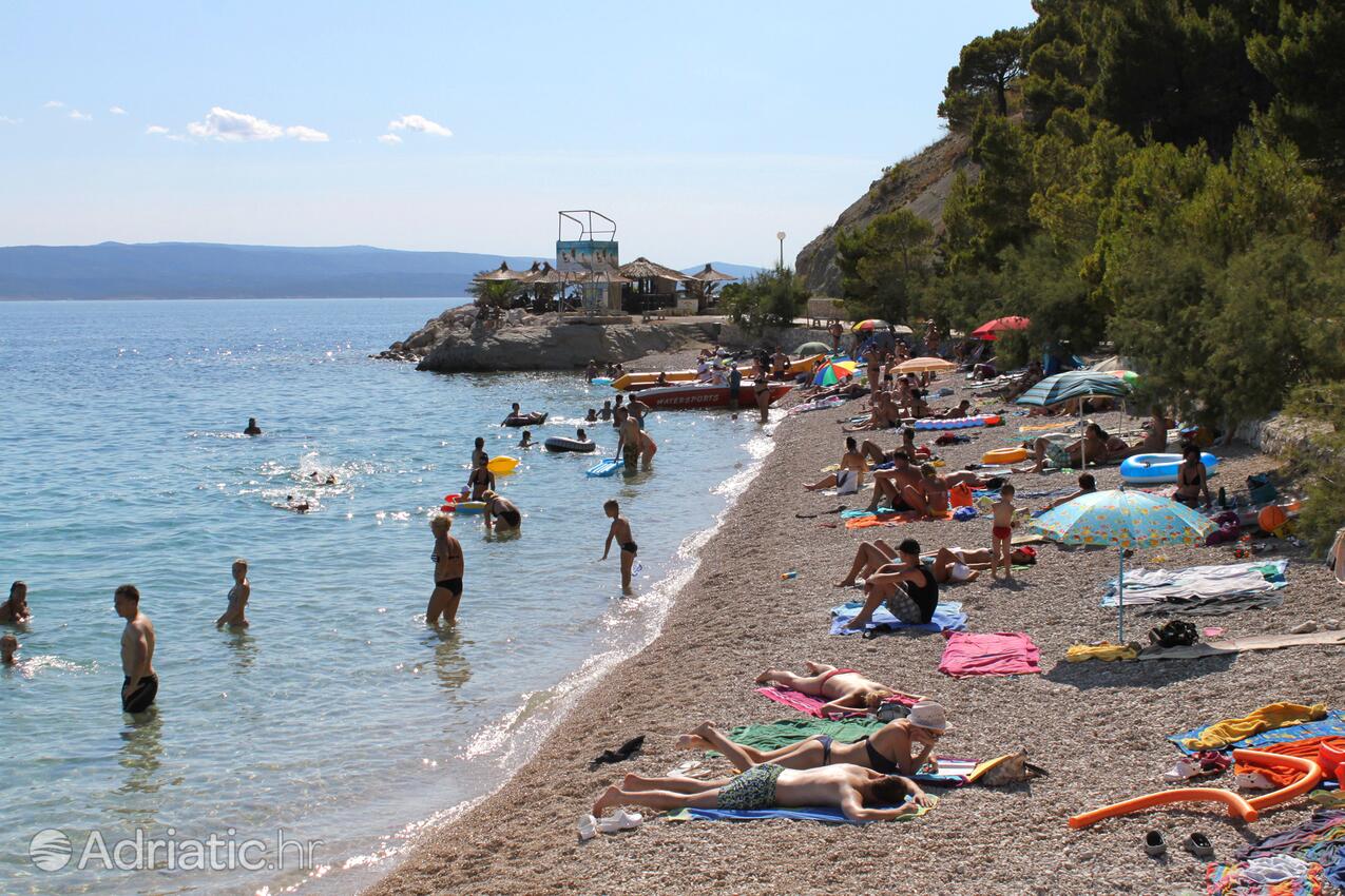 Adriatic.hr