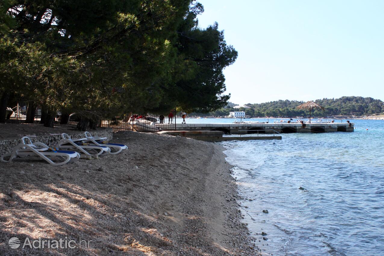 Adriatic.hr