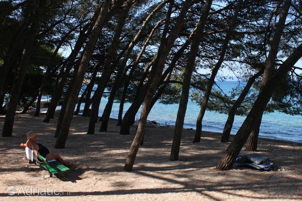 Adriatic.hr