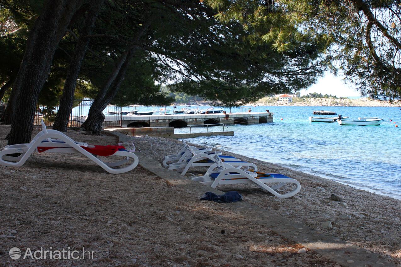 Adriatic.hr