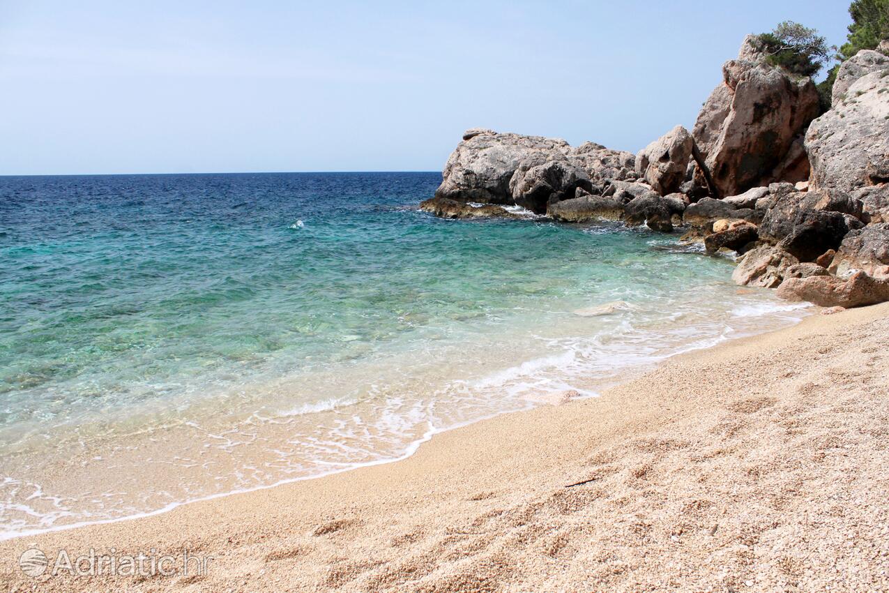 Adriatic.hr