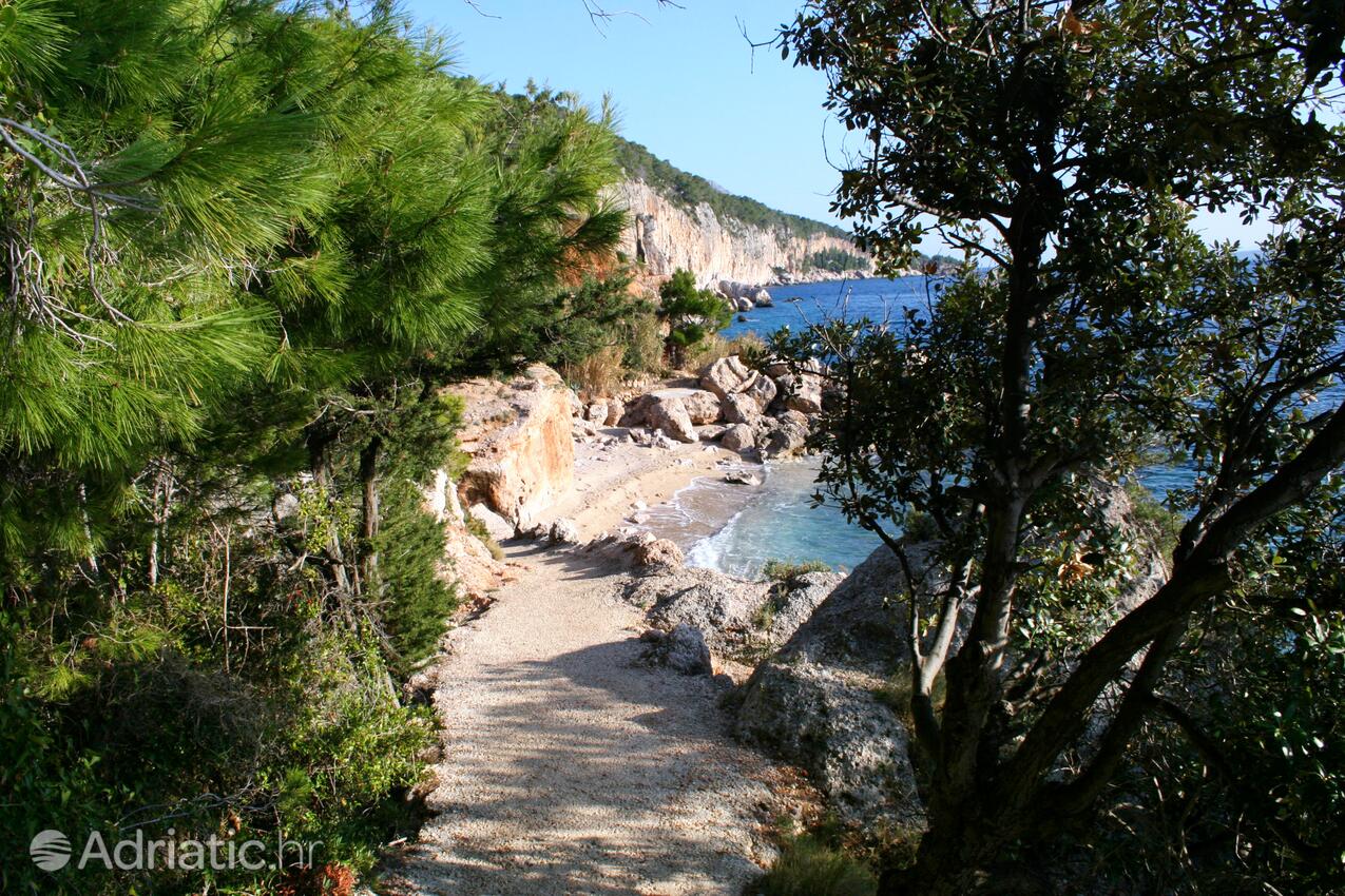 Adriatic.hr