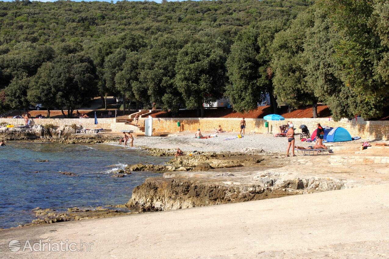 Adriatic.hr