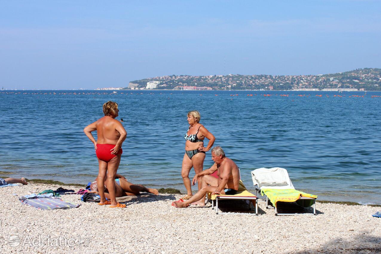 Adriatic.hr