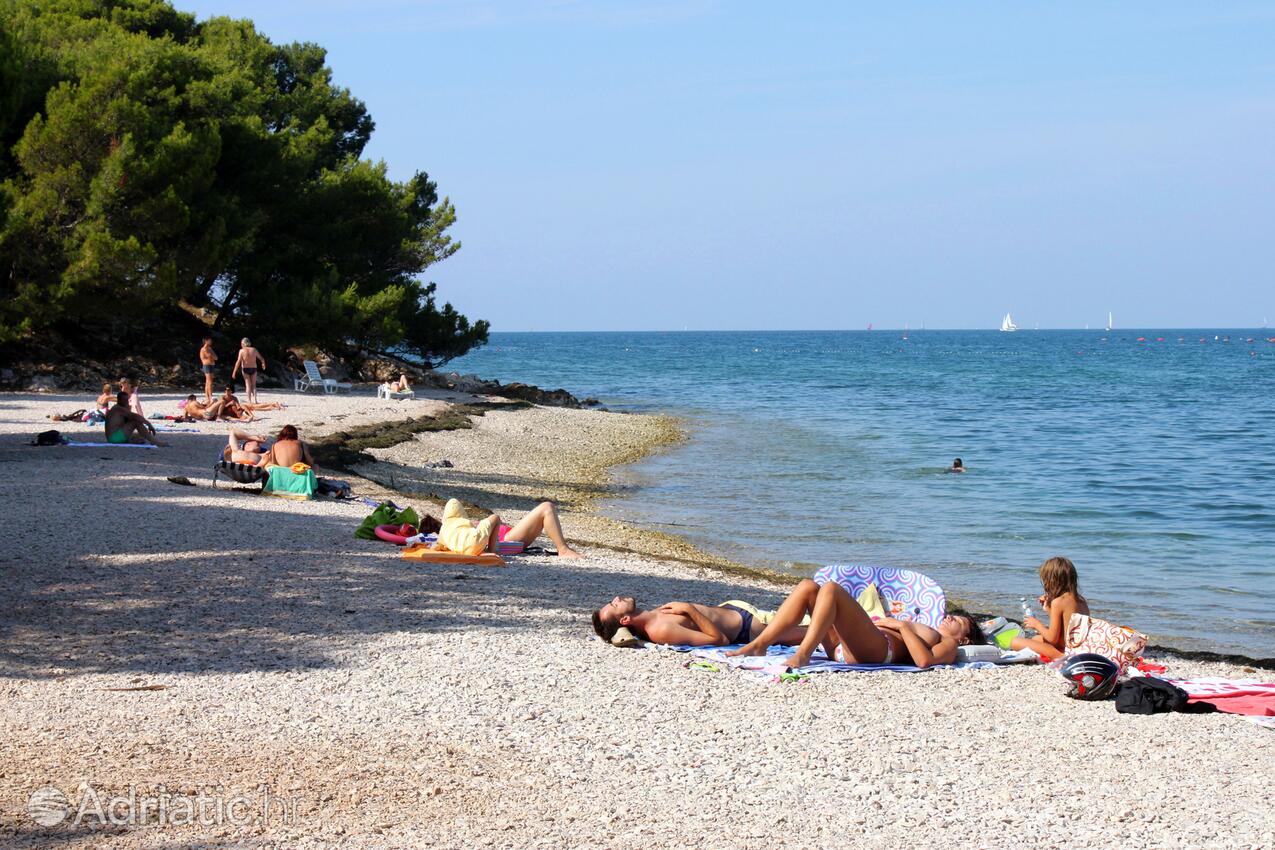 Adriatic.hr