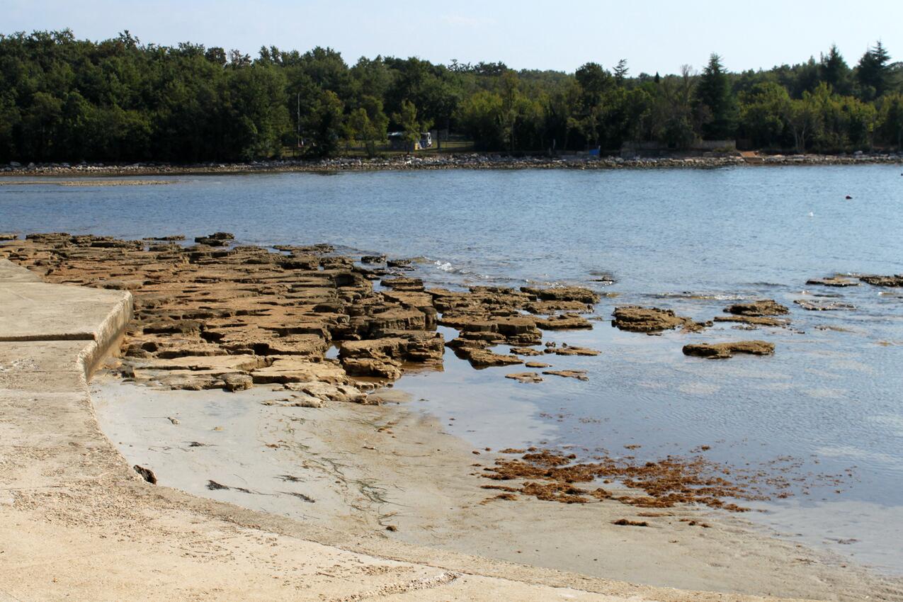 Najbliža plaža - Apartmani s bazenom Vardica, Umag