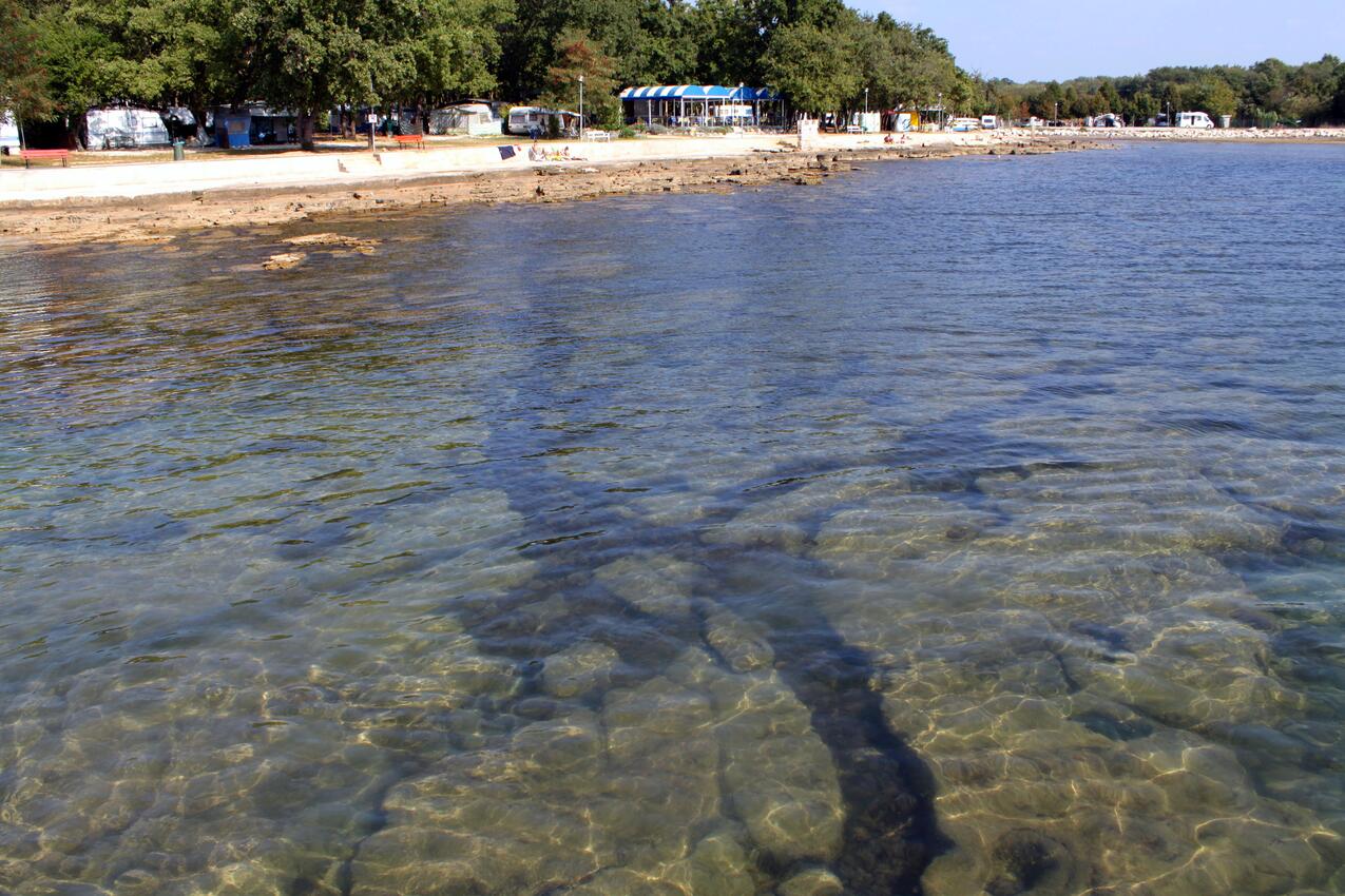 Najbliža plaža - Apartmani s bazenom Vardica, Umag
