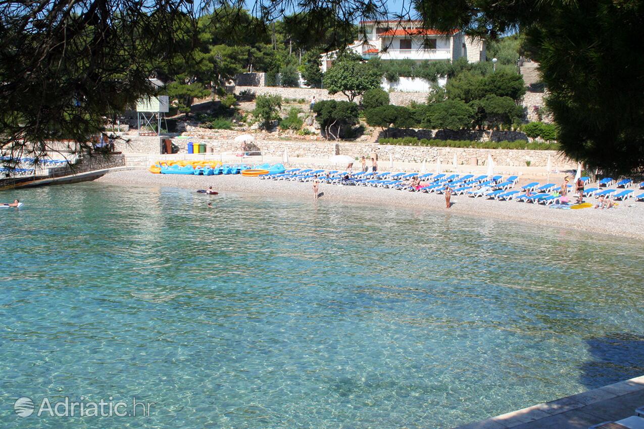 Adriatic.hr