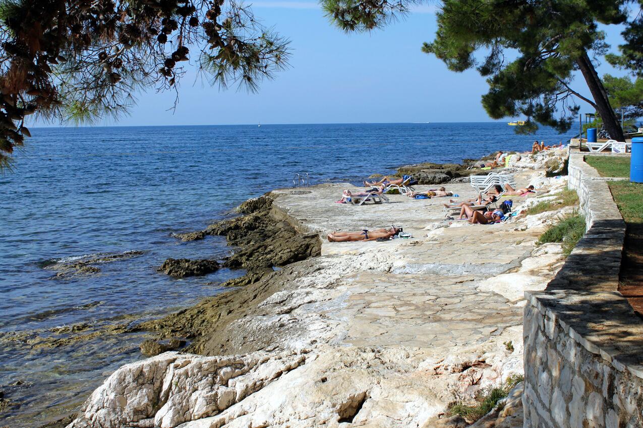 La spiaggia più vicina - Appartamenti con parcheggio Parenzo - Poreč