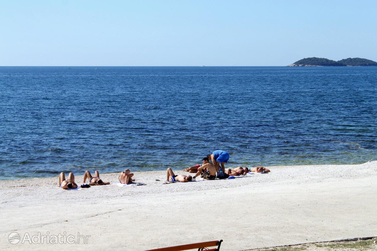 Adriatic.hr