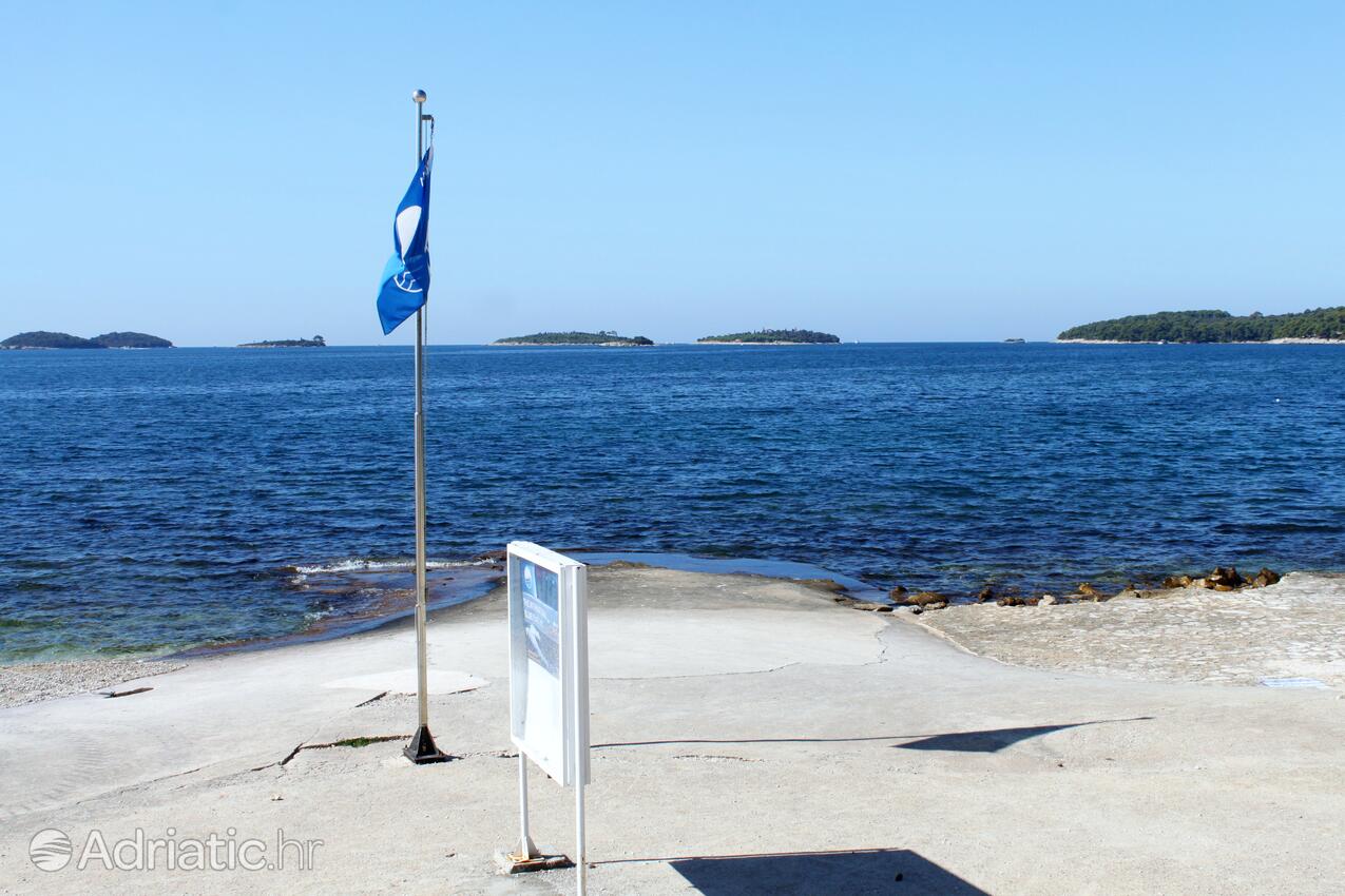 Adriatic.hr