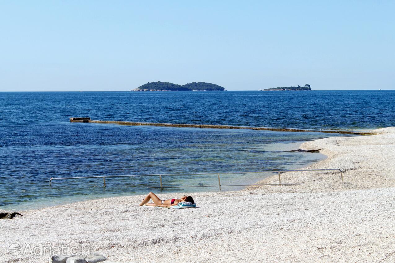 Adriatic.hr