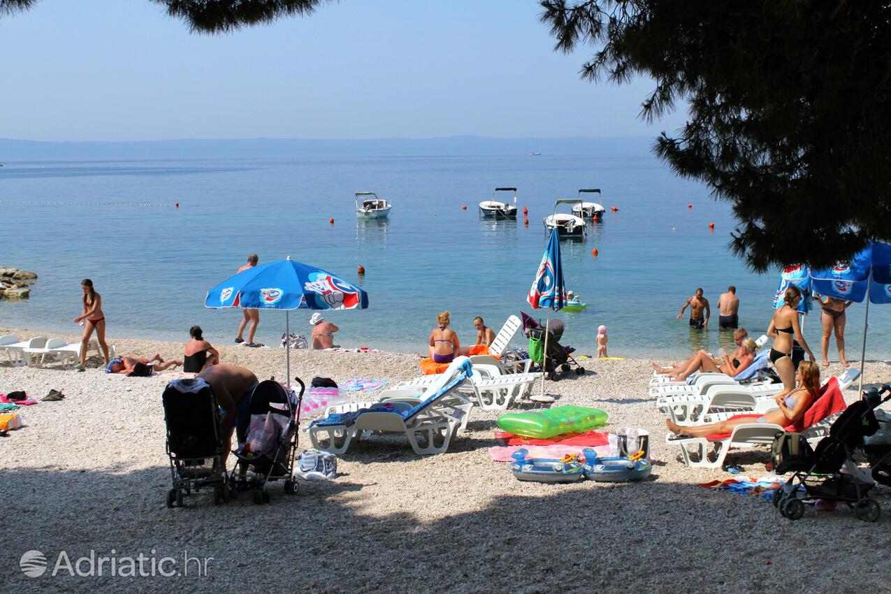 Adriatic.hr