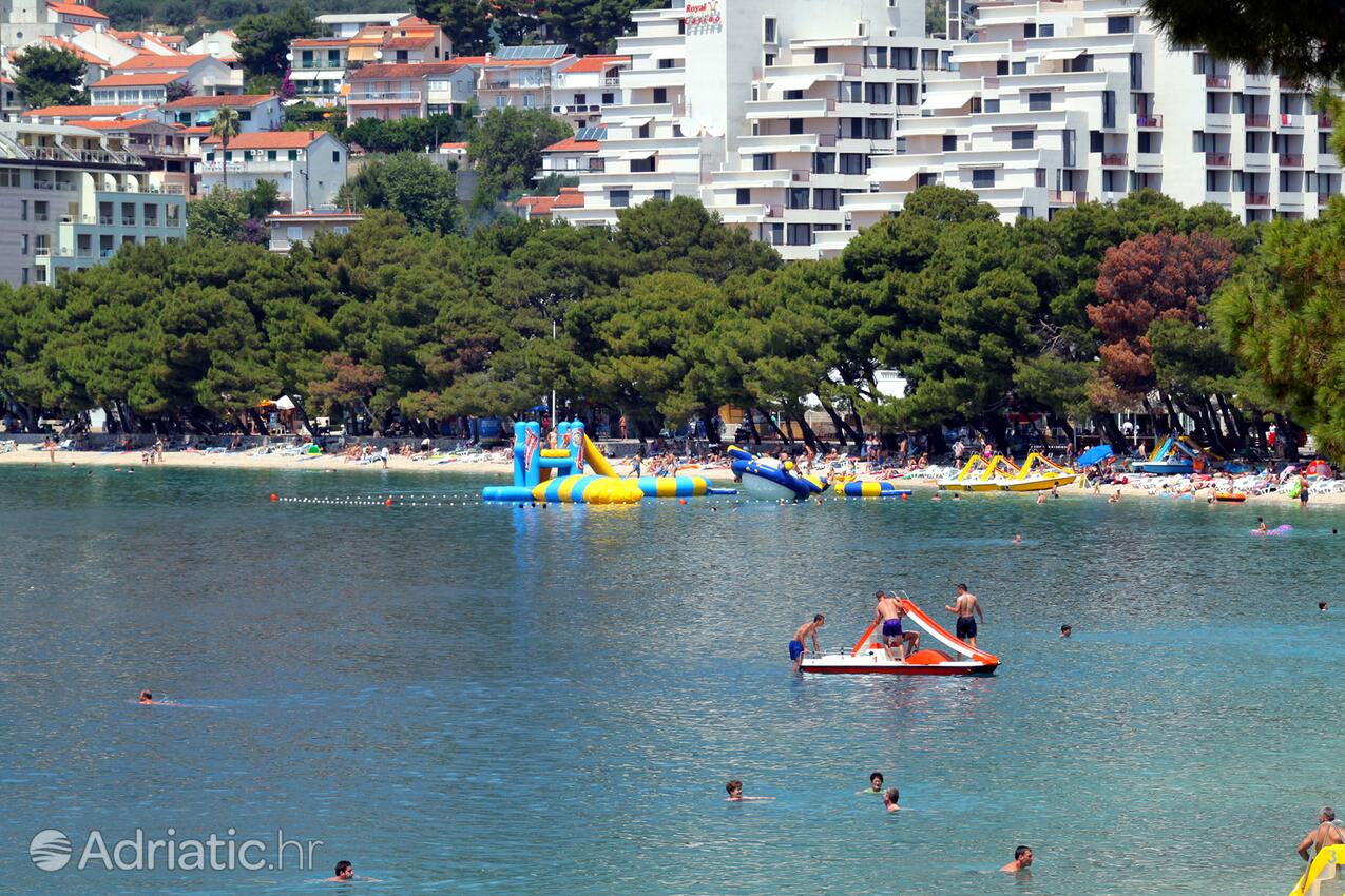Adriatic.hr
