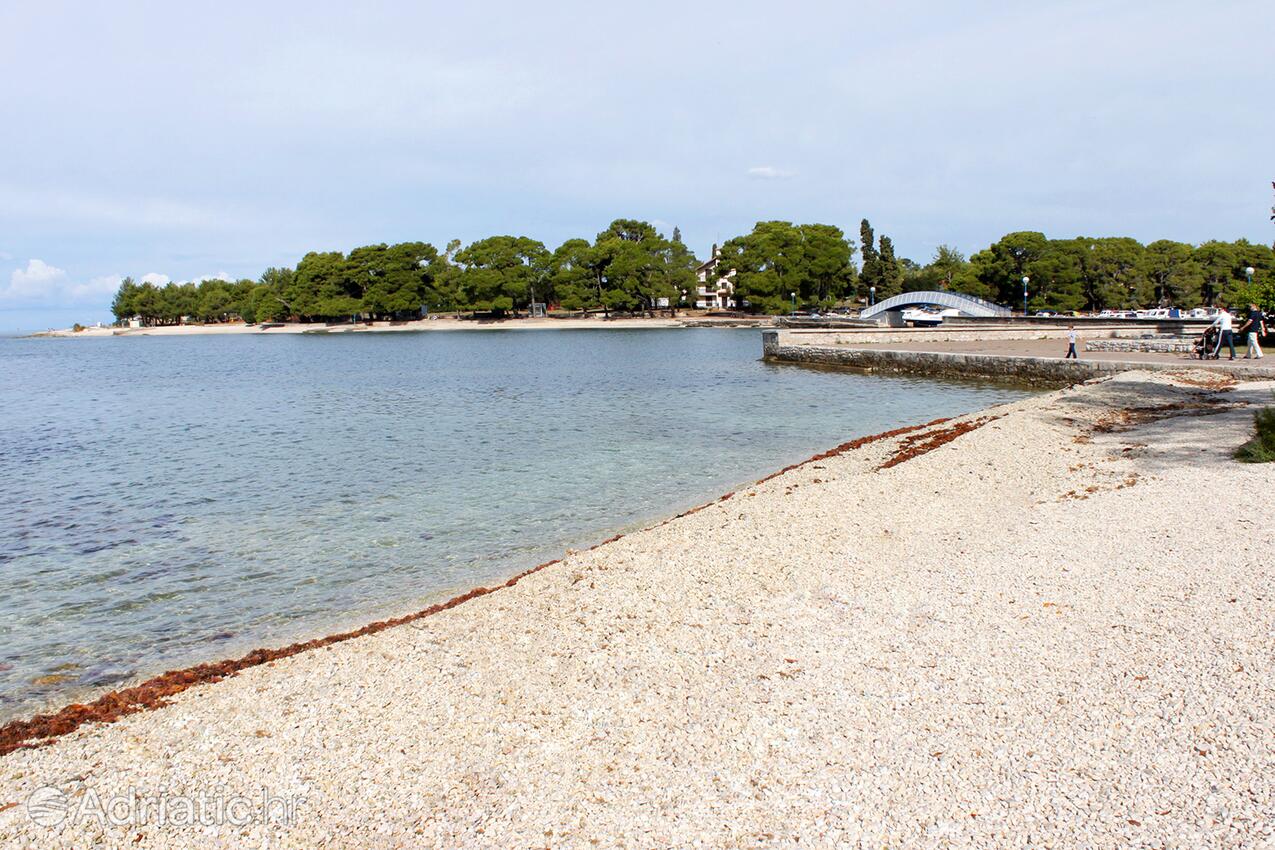 Nearest beach - Apartments and rooms with parking space Fažana