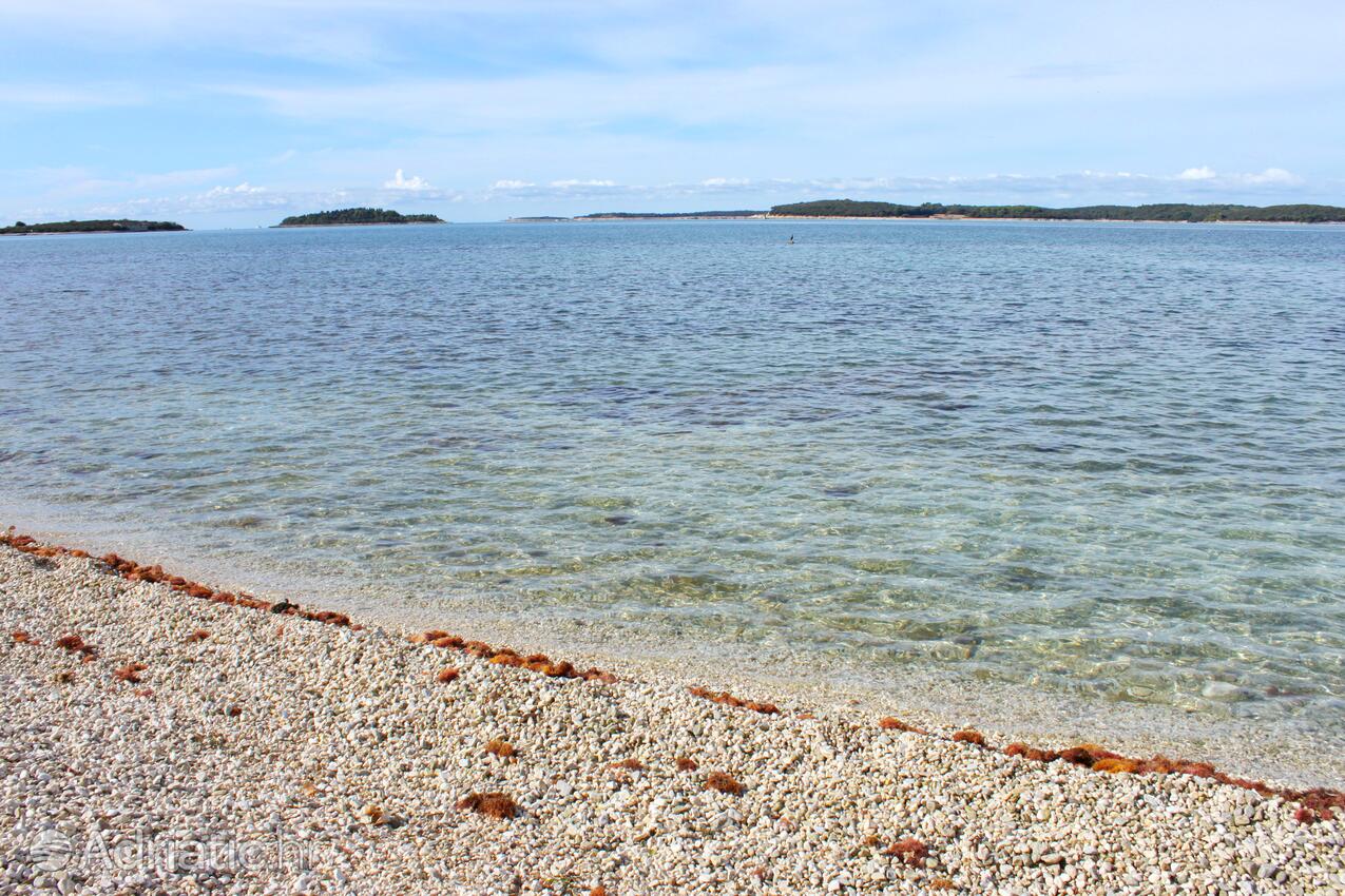 Nearest beach - Apartments and rooms with parking space Fažana