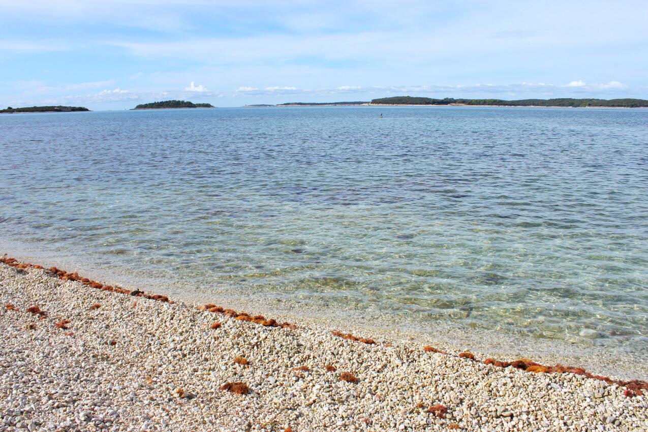 La spiaggia più vicina - Appartamenti con parcheggio Valbandon, Fasana - Fažana