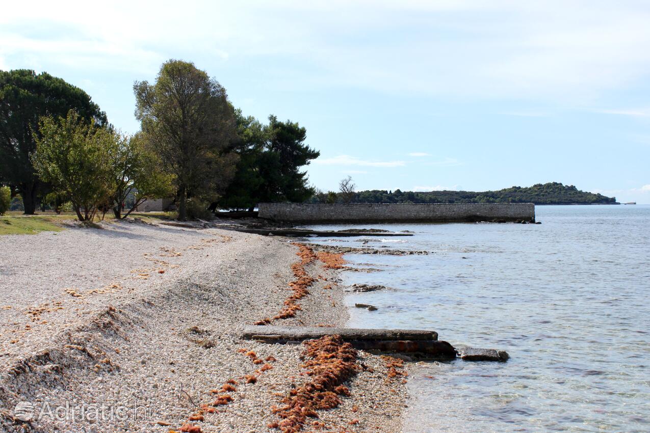 Nearest beach - Apartments and rooms with parking space Fažana
