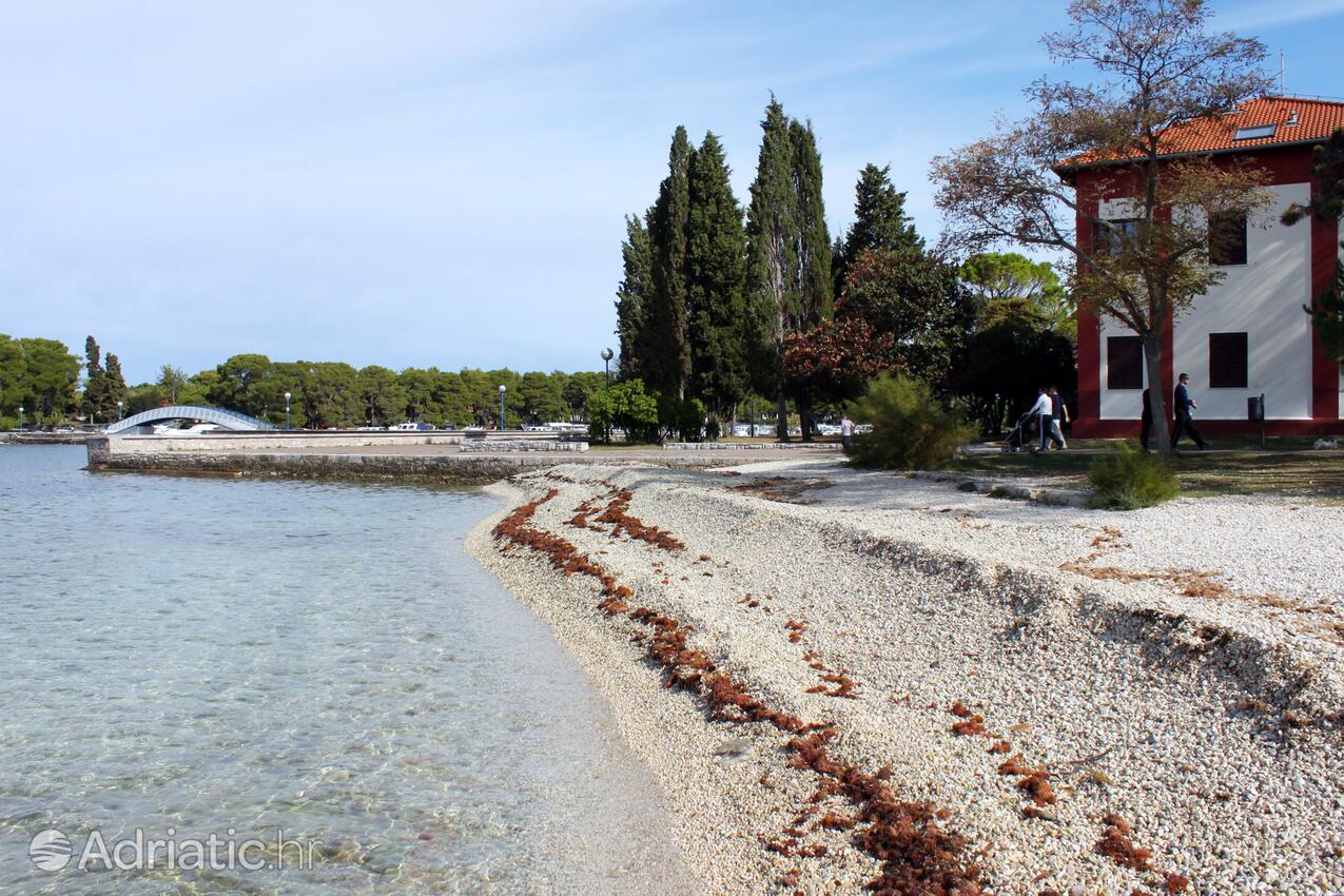 Nearest beach - Apartments and rooms with parking space Fažana