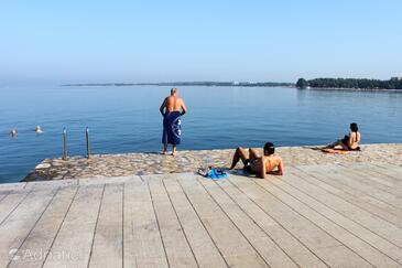 Apartamenty z internetem Porec - 27517