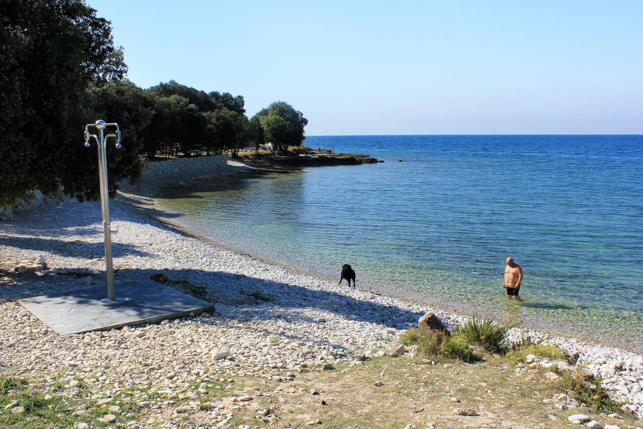 La spiaggia più vicina - Casa con piscina per famiglia Smoljanci, Istria Centrale - Središnja Istra