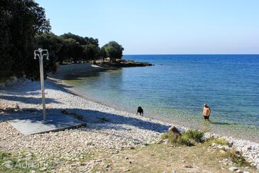 Apartmány s internetom Bale, Rovinj - 7287