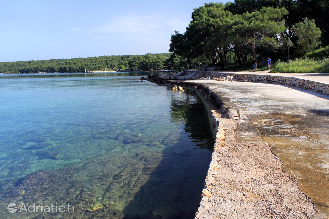 Adriatic.hr