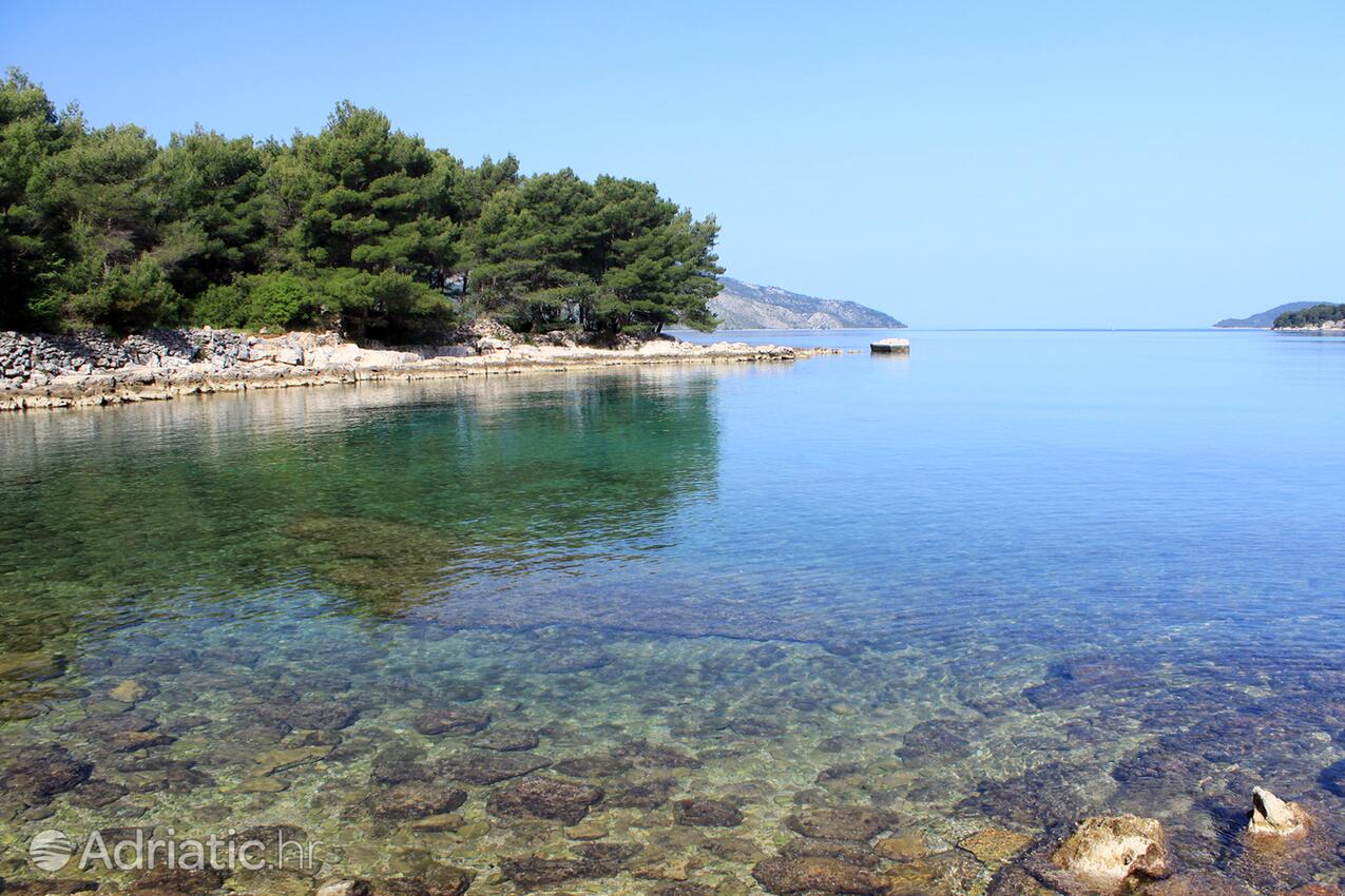 Adriatic.hr