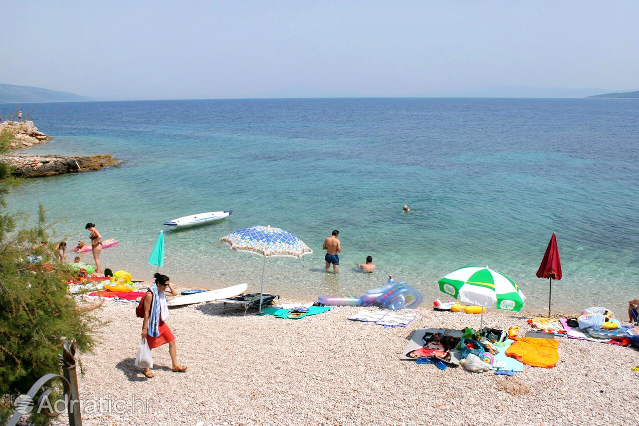 Adriatic.hr