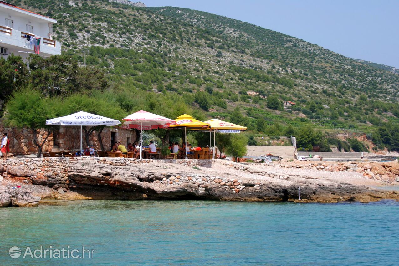 Adriatic.hr
